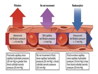 Approach to edema in clinical practice.. | PPTX