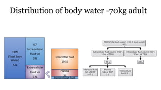 Distribution of body water -70kg adult
TBW
(Total Body
Water)
42L
ICF
Extra-cellular
Fluid vol
14L
ICF
Intra-cellular
Fluid vol
28L Interstitial fluid
10.5L
Plasma
3L
Transcellular fluid
 