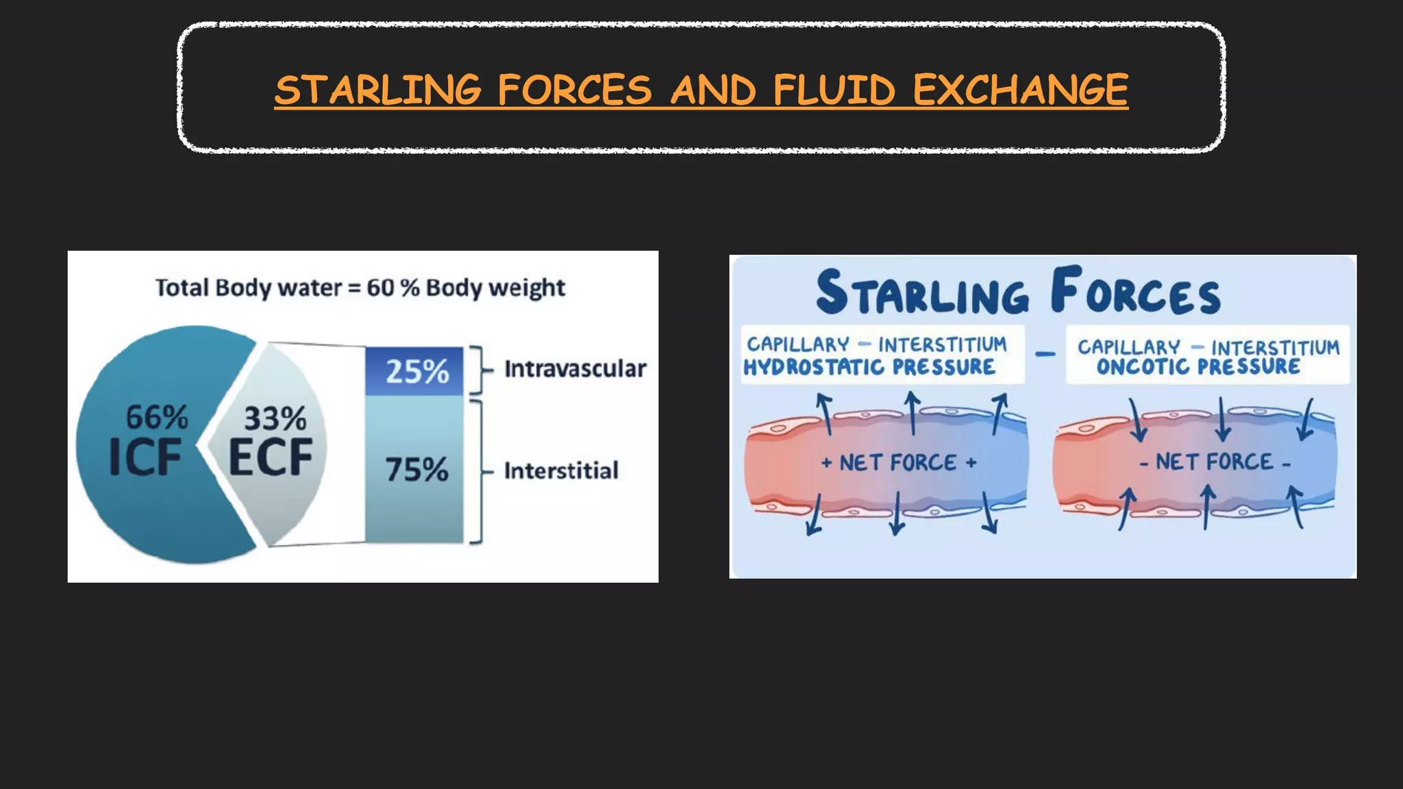 STARLING FORCES AND FLUID EXCHANGE
 