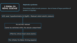 Nephrotic syndrome
Diminished colloid oncotic pressure - due to losses of large quantities of
protein (>3.5g/day)
With sever hypoalbuminemia (<2.5g/dl) + Reduced colloid osmotic pressure
Na and H2O retained

Cannot be restrained within the vascular compartment
Effective arterial blood volume decline
This initiates the Edema forming sequence
2.EDEMA IN
RENAL DISEASE
 