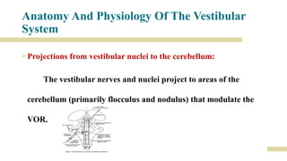 Approach to evaluation and management of acute vertigo | PPTX