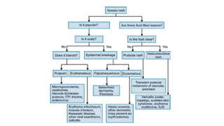 APPROACH TO FEVER WITH RASHES.pptx