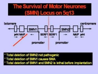 Neurology Chapter of IAP
 