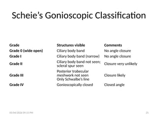 Scheie Classification System Comprehensive Approach to Diagnosing and Managing Glaucoma | PPTX