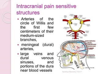 Intracranial pain sensitive
structures
 Arteries of the
circle of Willis and
the first few
centimeters of their
medium-sized
branches,
 meningeal (dural)
arteries,
 large veins and
dural venous
sinuses, and
portions of the dura
near blood vessels Sandhya Manorenj 11/2/17
 