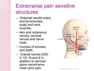 Extracranial pain sensitive
structures
 External carotid artery
and its branches,
scalp and neck
muscles,
 skin and cutaneous
nerves, cervical
nerves and nerve
roots,
 mucosa of sinuses,
and teeth.
 Cranial nerves (CN)
V, VII, IX,and X in
addition to cervical
spine nerve/nerve
roots carry pain. Sandhya Manorenj 11/2/17
 