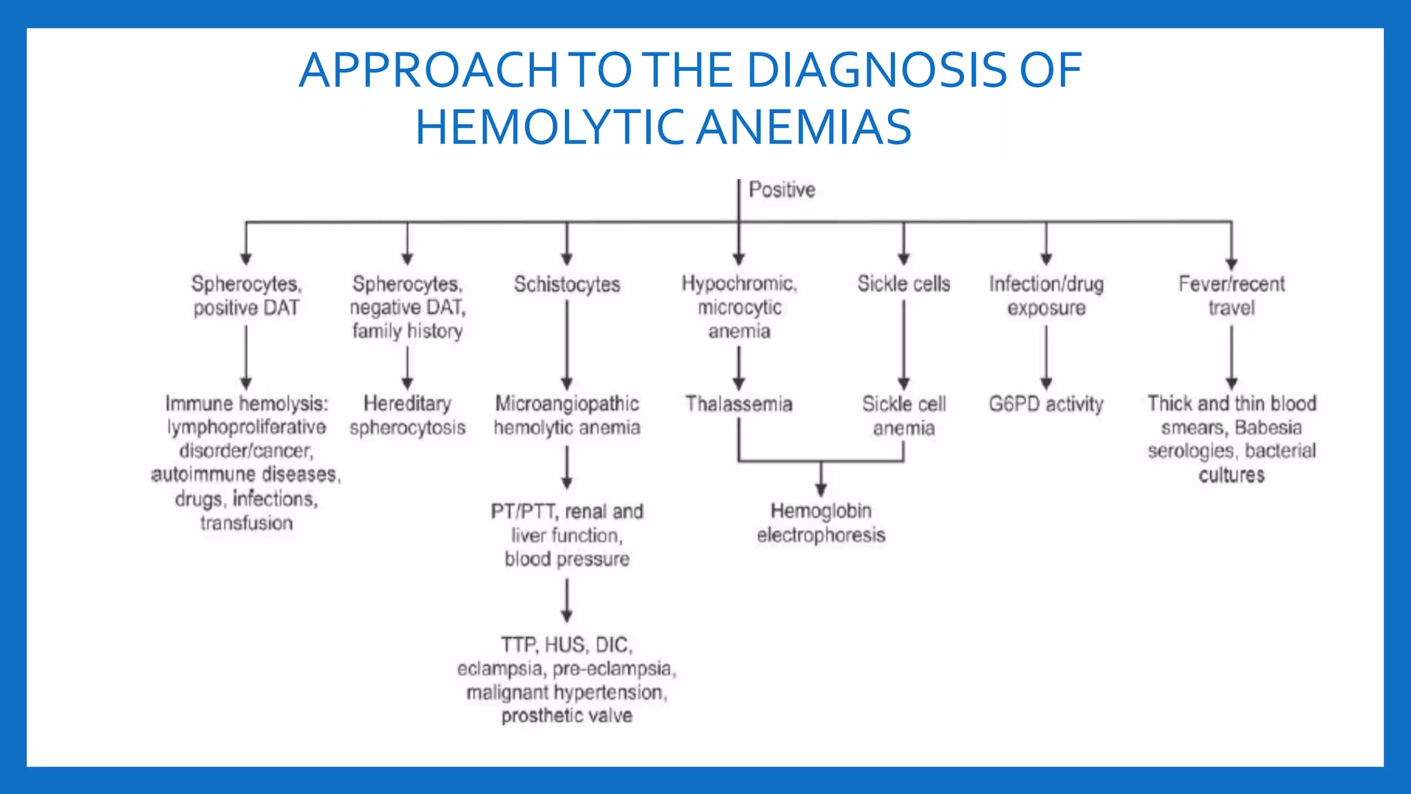 APPROACHTOTHE DIAGNOSIS OF
HEMOLYTIC ANEMIAS
 