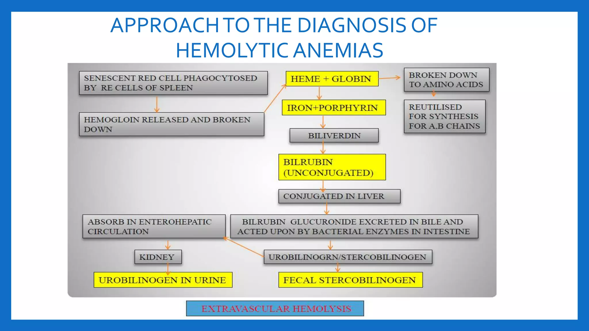 APPROACHTOTHE DIAGNOSIS OF
HEMOLYTIC ANEMIAS
 