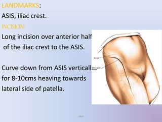 LANDMARKS:
ASIS, iliac crest.
INCISION:
Long incision over anterior half
of the iliac crest to the ASIS.
Curve down from ASIS vertically
for 8-10cms heaving towards
lateral side of patella.
UMY
 