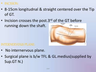 • INCISION:
• 8-15cm longitudnal & straight centered over the Tip
of GT.
• Incision crosses the post.3rd of the GT before
running down the shaft.
INTERNERVOUS PLANE:
• No internervous plane.
• Surgical plane is b/w TFL & GL.medius(supplied by
Sup.GT N.)
UMY
 