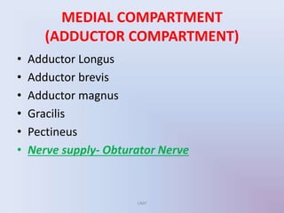 MEDIAL COMPARTMENT
(ADDUCTOR COMPARTMENT)
• Adductor Longus
• Adductor brevis
• Adductor magnus
• Gracilis
• Pectineus
• Nerve supply- Obturator Nerve
UMY
 