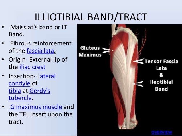 Approach to hip joint