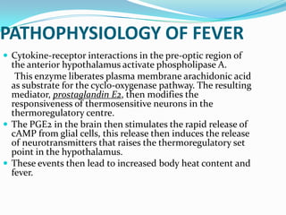 PATHOPHYSIOLOGY OF FEVER
 Cytokine-receptor interactions in the pre-optic region of
the anterior hypothalamus activate phospholipase A.
This enzyme liberates plasma membrane arachidonic acid
as substrate for the cyclo-oxygenase pathway. The resulting
mediator, prostaglandin E2, then modifies the
responsiveness of thermosensitive neurons in the
thermoregulatory centre.
 The PGE2 in the brain then stimulates the rapid release of
cAMP from glial cells, this release then induces the release
of neurotransmitters that raises the thermoregulatory set
point in the hypothalamus.
 These events then lead to increased body heat content and
fever.
 
