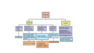 Approach to hypochromic microcytic anemias.pptx
