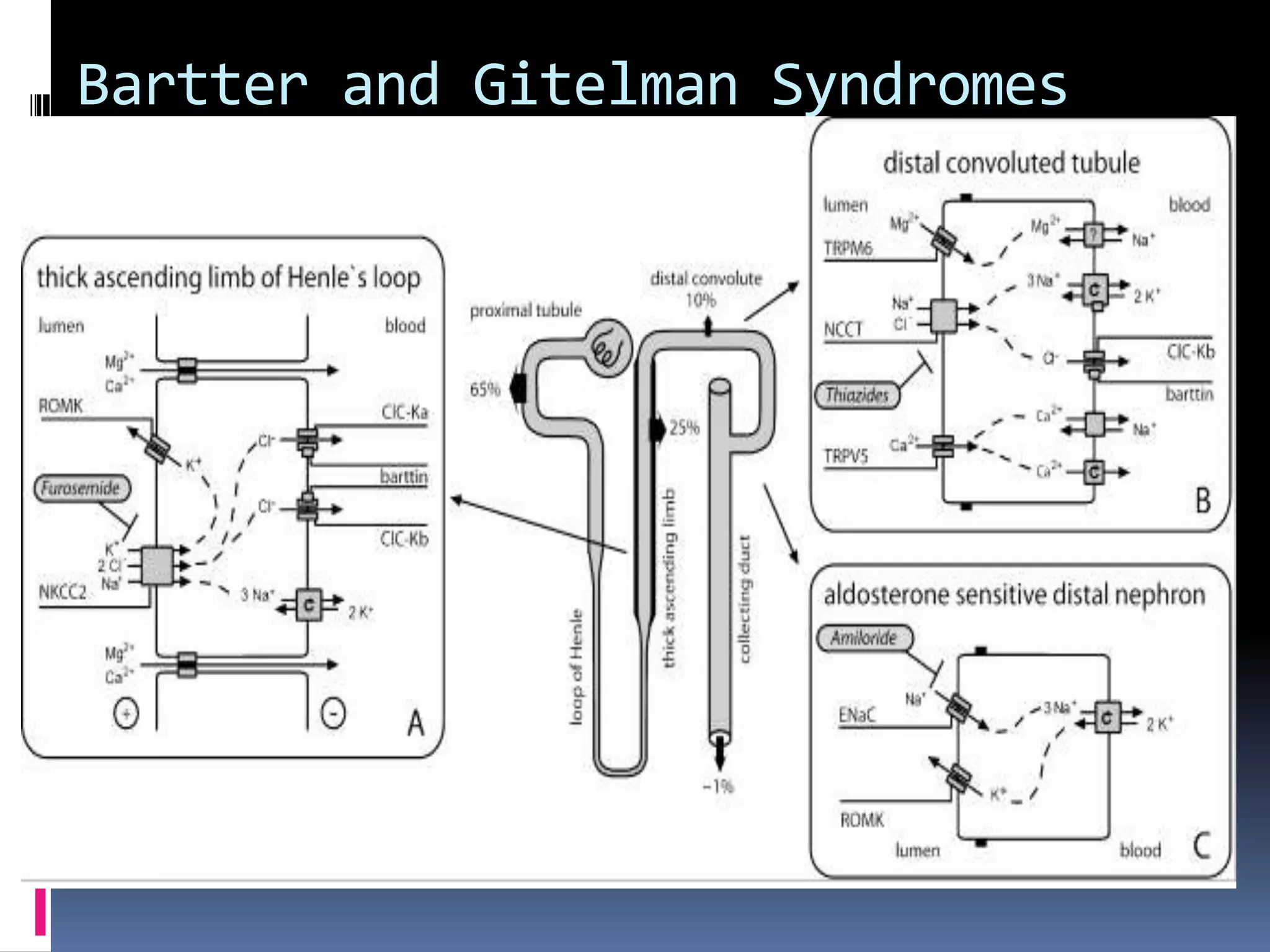 Bartter and Gitelman Syndromes
 