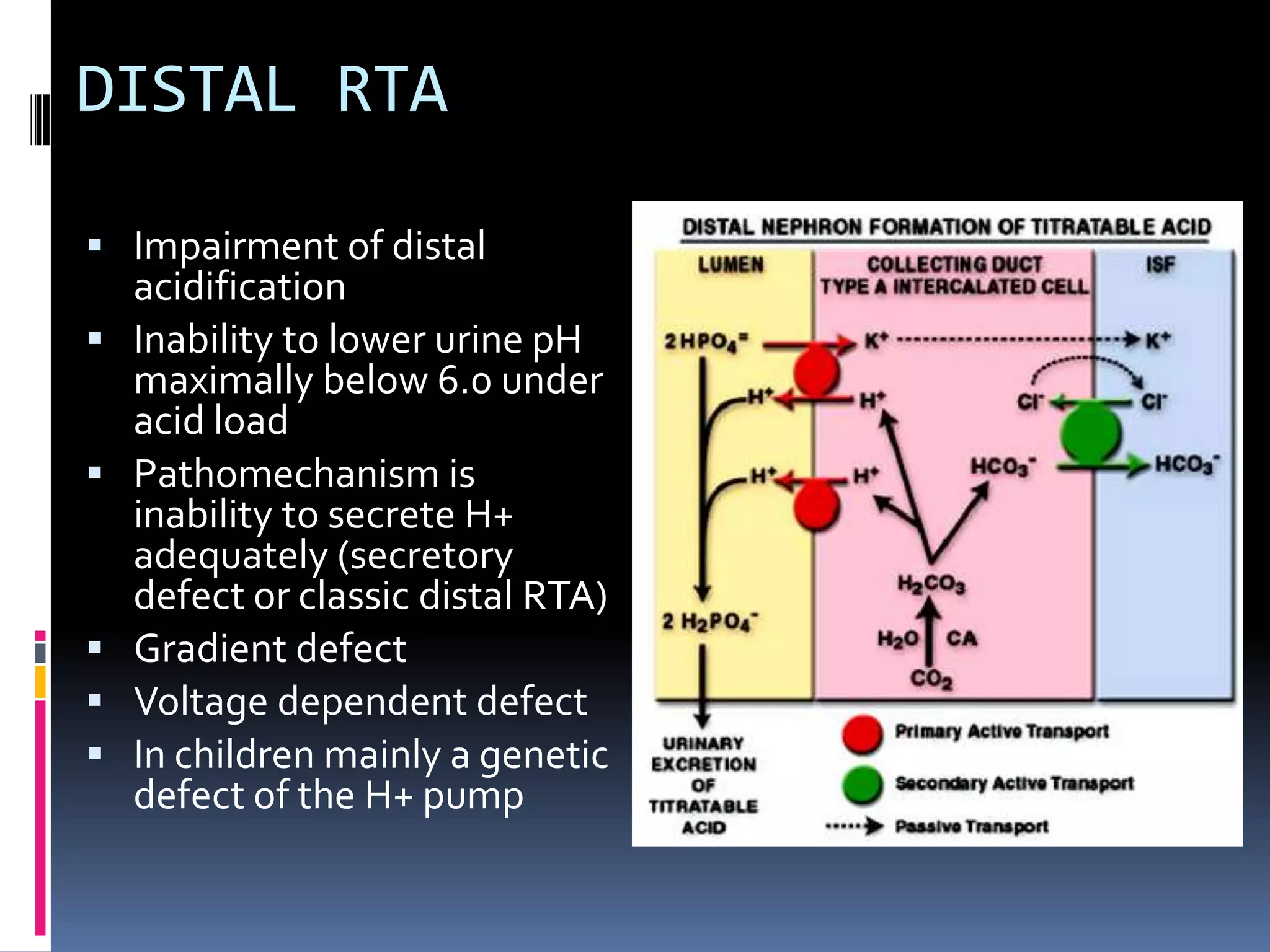 DISTAL RTA
 Impairment of distal
acidification
 Inability to lower urine pH
maximally below 6.0 under
acid load
 Pathomechanism is
inability to secrete H+
adequately (secretory
defect or classic distal RTA)
 Gradient defect
 Voltage dependent defect
 In children mainly a genetic
defect of the H+ pump
 