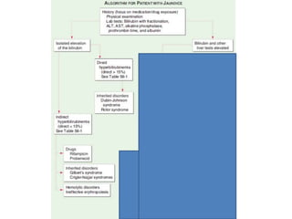 Jaundice Management Racgp Approach to jaundice | PPTX