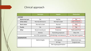 Hemolytic Hepatic Obstructive
HISTORY
• Abdominal pain No Yes/No Yes
• Urine colour Normal (Acholuric) Normal to dark Dark (Choluric)
• Stool colour Normal to dark Normal Pale
• Pruritis No Variable Yes
• Other Recent transfusion Prodrome High grade fever
Anemia Toxin/Drug exposure Mass P/A
h/o CTD, Lymphomas BT/HD/High risk behaviour h/o Past abd surgeries
EXAMINATION
Splenomegaly CLD stigmata Abdominal mass
KF ring Surgical scars
Skin hyperpigmentation
Clinical approach
 