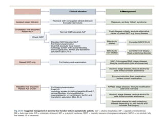 Jaundice Management Racgp Approach to jaundice.pptx