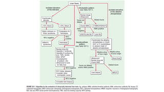 Approach to jaundice based on Harrison's | PPTX