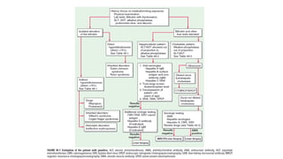 Approach to jaundice based on Harrison's | PPTX