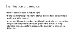 Approach to jaundice based on Harrison's | PPTX