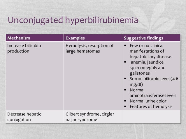 Hyperbilirubinemia Adult 28