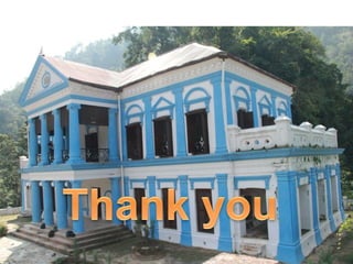 Approach to knee pain