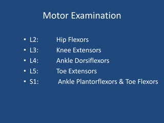 Motor Examination
• L2: Hip Flexors
• L3: Knee Extensors
• L4: Ankle Dorsiflexors
• L5: Toe Extensors
• S1: Ankle Plantorflexors & Toe Flexors
 