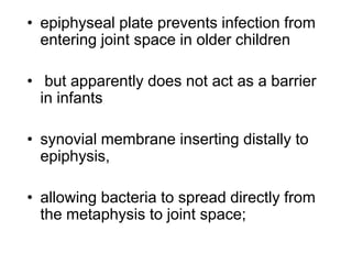 • epiphyseal plate prevents infection from
entering joint space in older children
• but apparently does not act as a barri...
