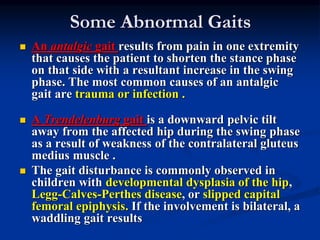 Some Abnormal Gaits
 An antalgic gait results from pain in one extremity
that causes the patient to shorten the stance phase
on that side with a resultant increase in the swing
phase. The most common causes of an antalgic
gait are trauma or infection .
 A Trendelenburg gait is a downward pelvic tilt
away from the affected hip during the swing phase
as a result of weakness of the contralateral gluteus
medius muscle .
 The gait disturbance is commonly observed in
children with developmental dysplasia of the hip,
Legg-Calves-Perthes disease, or slipped capital
femoral epiphysis. If the involvement is bilateral, a
waddling gait results
 
