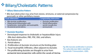 Approach to liver biopsy.pptx study exam skides | PPTX
