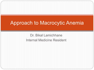 Dr. Bikal Lamichhane
Internal Medicine Resident
Approach to Macrocytic Anemia
 