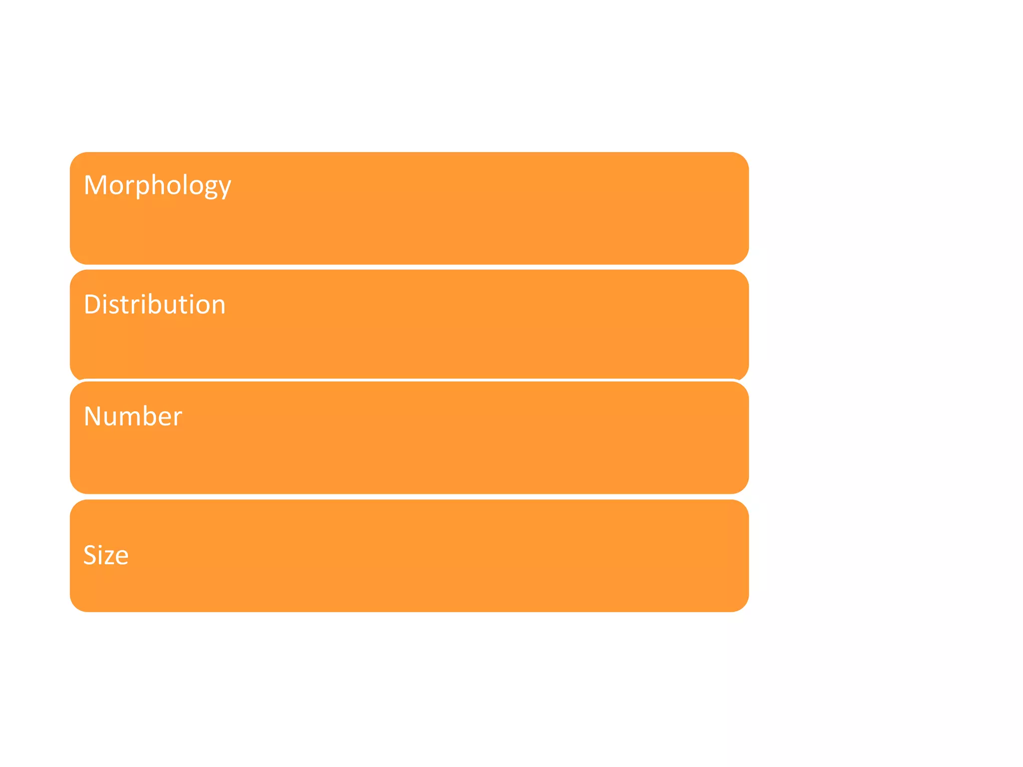 Morphology

Distribution

Number

Size

 