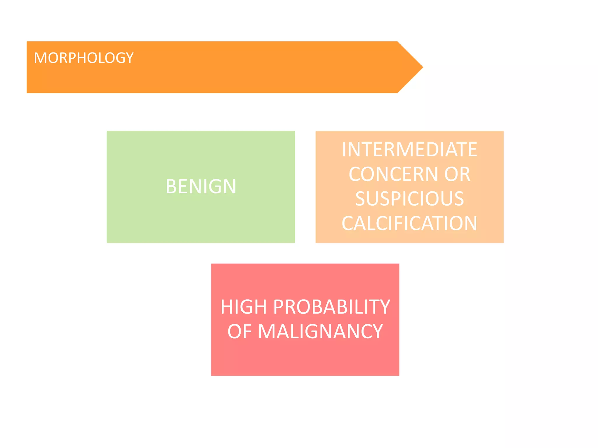 MORPHOLOGY

BENIGN

INTERMEDIATE
CONCERN OR
SUSPICIOUS
CALCIFICATION

HIGH PROBABILITY
OF MALIGNANCY

 