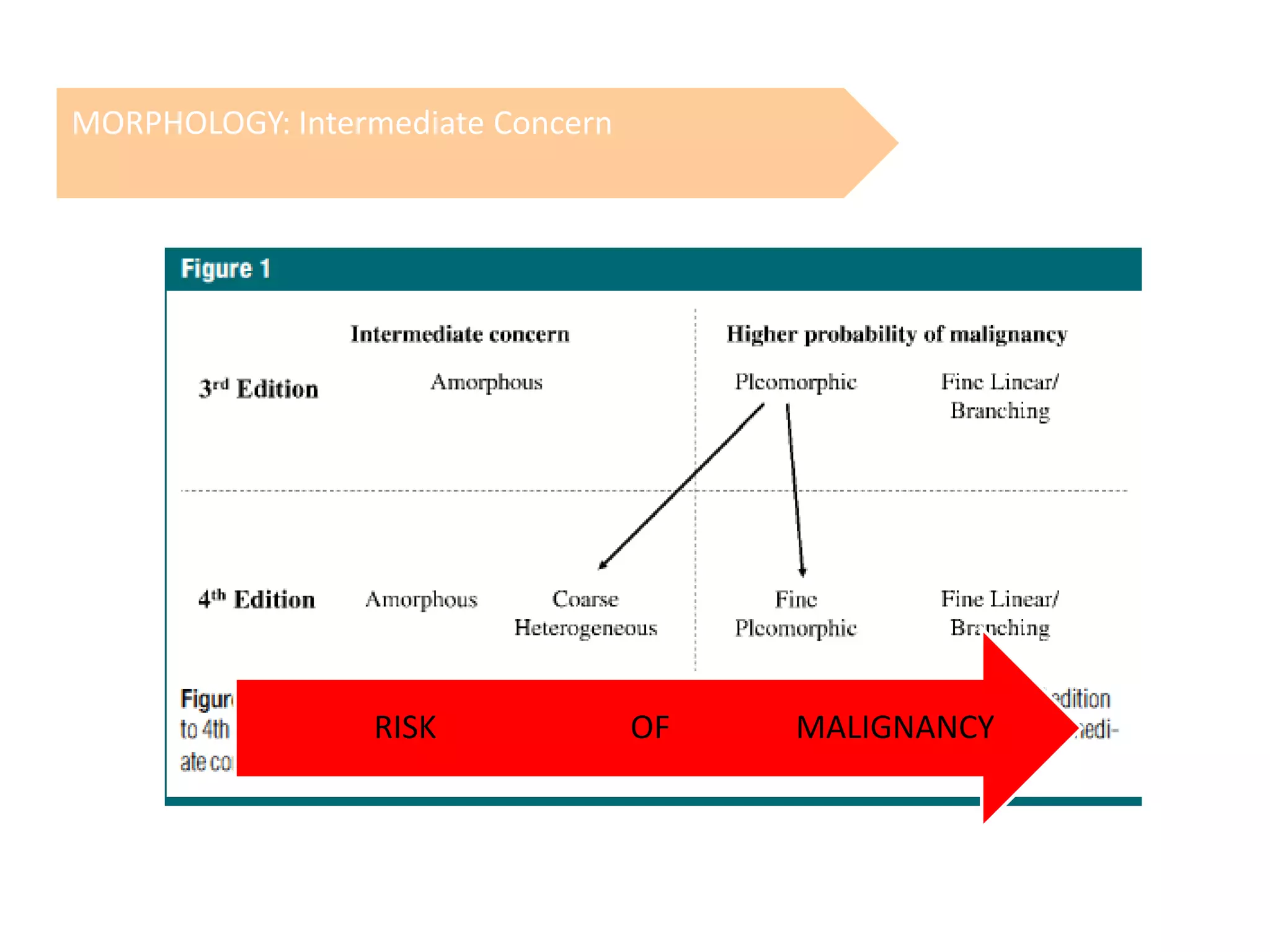 MORPHOLOGY: Intermediate Concern

RISK

OF

MALIGNANCY

 