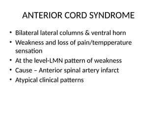 Cord Infarct Pattern APPROACH TO MYELOPATHY power point presentation | PPTX