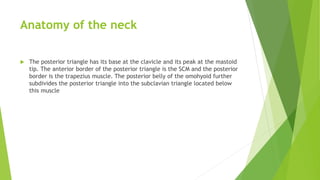 Anatomy of the neck
 The posterior triangle has its base at the clavicle and its peak at the mastoid
tip. The anterior border of the posterior triangle is the SCM and the posterior
border is the trapezius muscle. The posterior belly of the omohyoid further
subdivides the posterior triangle into the subclavian triangle located below
this muscle
 