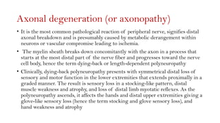 Approach to Neuropathy anatomy, detailed.pptx