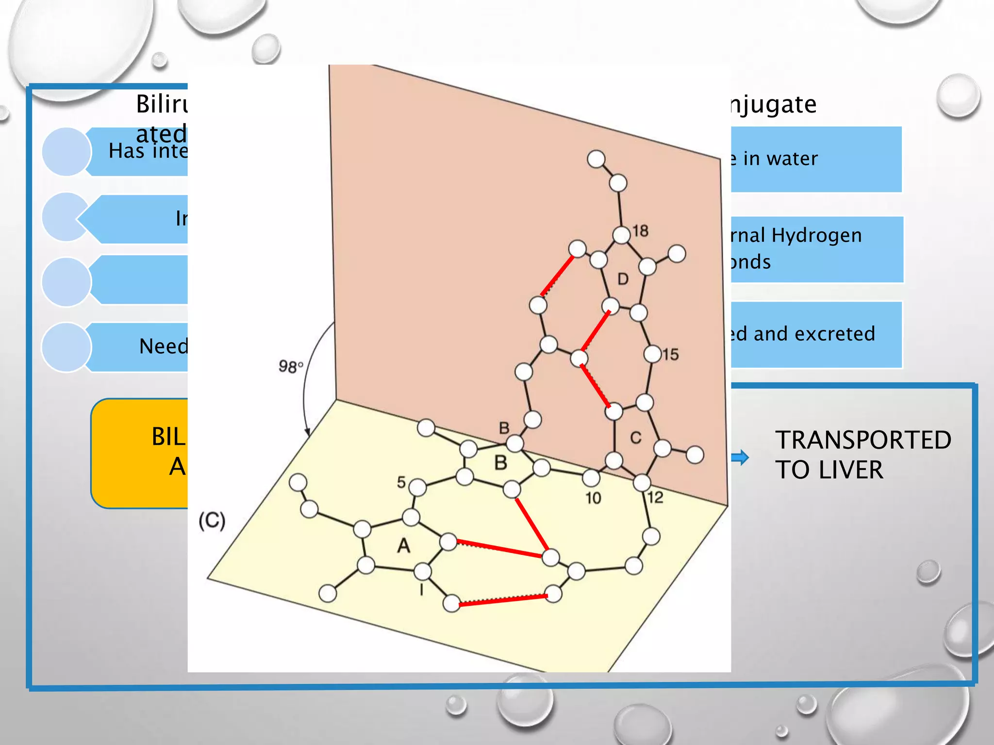 Has internal Hydrogen bonds
toxic
Insoluble in water
Needs to be eliminated
Bilirubin(Unconjug
ated)
BILIRUBIN IX-
ALPHA-ZZ
ALBUMI
N
TRANSPORTED
TO LIVER
NON COVALENT,
TEMPORARY
BOND
soluble in water
Has no internal Hydrogen
bonds
Is metabolised and excreted
Bilirubin(conjugate
d)
 