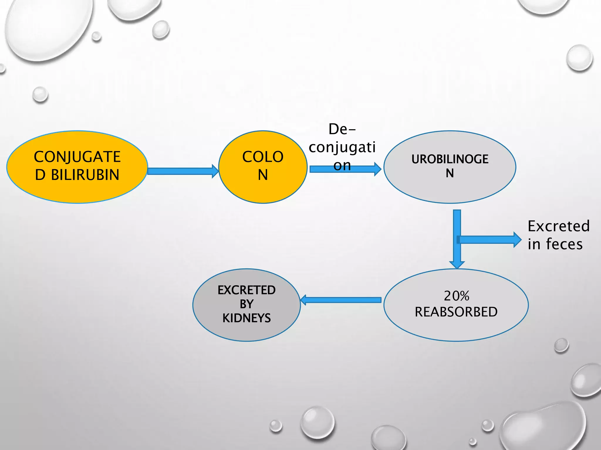 CONJUGATE
D BILIRUBIN
COLO
N
UROBILINOGE
N
EXCRETED
BY
KIDNEYS
20%
REABSORBED
De-
conjugati
on
Excreted
in feces
 