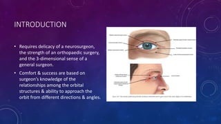 INTRODUCTION
• Requires delicacy of a neurosurgeon,
the strength of an orthopaedic surgery,
and the 3-dimensional sense of a
general surgeon.
• Comfort & success are based on
surgeon’s knowledge of the
relationships among the orbital
structures & ability to approach the
orbit from different directions & angles.
 