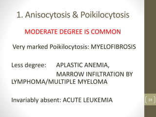 1. Anisocytosis & Poikilocytosis
MODERATE DEGREE IS COMMON
Very marked Poikilocytosis: MYELOFIBROSIS
Less degree: APLASTIC ANEMIA,
MARROW INFILTRATION BY
LYMPHOMA/MULTIPLE MYELOMA
Invariably absent: ACUTE LEUKEMIA 19
 