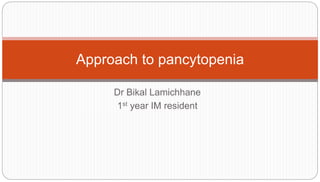 Dr Bikal Lamichhane
1st year IM resident
Approach to pancytopenia
 