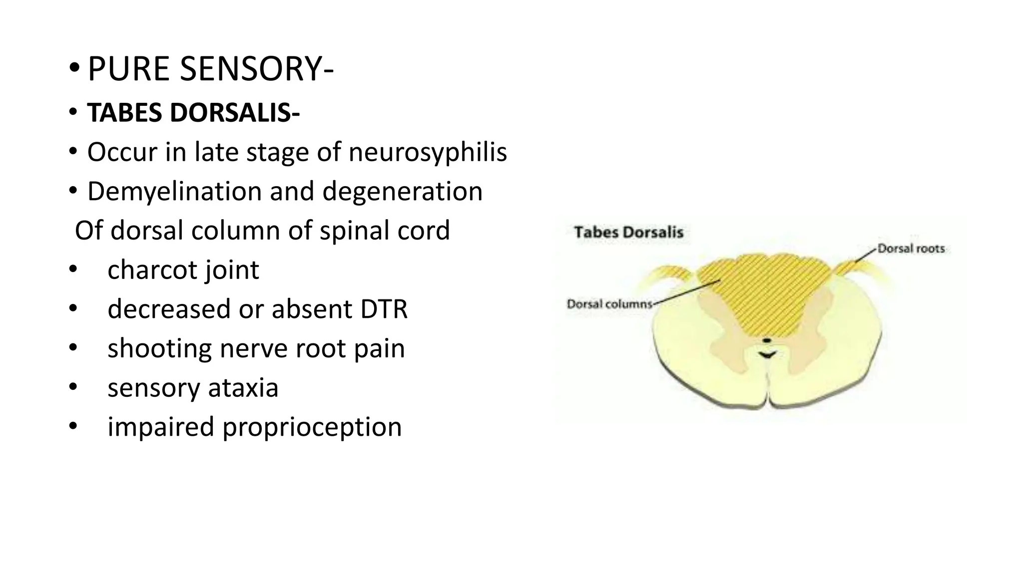 APPROACH TO PARAPLEGIA with neurological examination pdf | PPTX