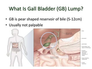 Approach to patient with gall bladder lump | PPTX