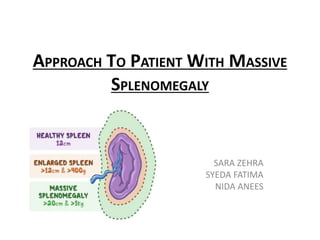 APPROACH TO PATIENT WITH MASSIVE
SPLENOMEGALY
SARA ZEHRA
SYEDA FATIMA
NIDA ANEES
 