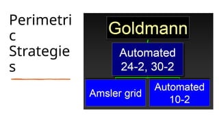 Perimetri
c
Strategie
s
 