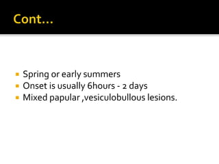  Spring or early summers
 Onset is usually 6hours - 2 days
 Mixed papular ,vesiculobullous lesions.
 