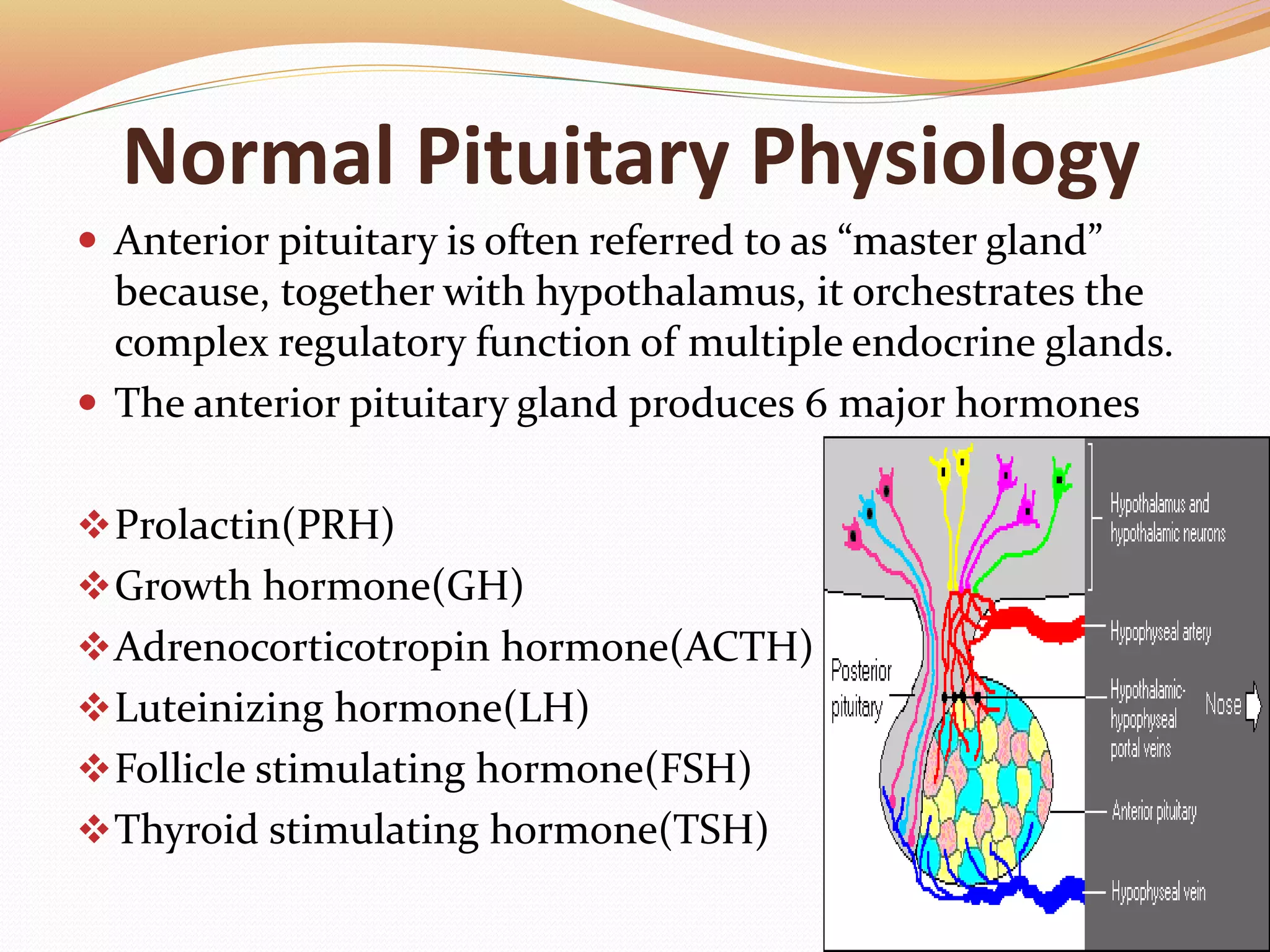 Normal Pituitary Physiology
 Anterior pituitary is often referred to as “master gland”
because, together with hypothalamus, it orchestrates the
complex regulatory function of multiple endocrine glands.
 The anterior pituitary gland produces 6 major hormones
Prolactin(PRH)
Growth hormone(GH)
Adrenocorticotropin hormone(ACTH)
Luteinizing hormone(LH)
Follicle stimulating hormone(FSH)
Thyroid stimulating hormone(TSH)
 